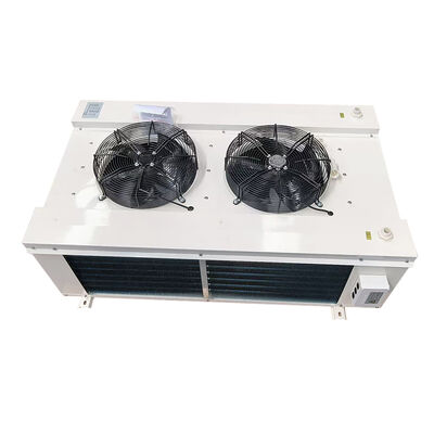 خرید تبخیرگر اتاق سرد دو جریان هوا DSL30 online manufacture